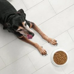 Nutro Ultra Senior Dry Dog Food -Snuggle Paws 49630 PT3. AC SS1800 V1702678487