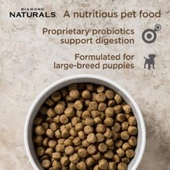 Diamond Naturals Large Breed Puppy Formula Dry Dog Food 10 Diamond Naturals Large Breed Puppy Formula Dry Dog Food -Snuggle Paws 49745 PT2. AC SS1800 V1635735809