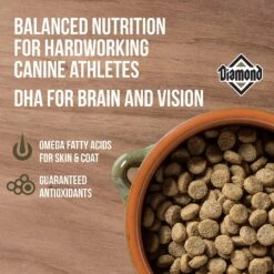 Diamond Performance Formula Adult Dry Dog Food -Snuggle Paws 49784 PT2. AC SS1800 V1635741711