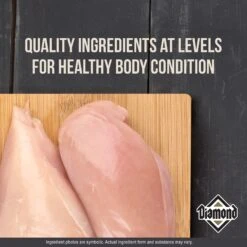 Diamond Performance Formula Adult Dry Dog Food -Snuggle Paws 49784 PT3. AC SS1800 V1641252103