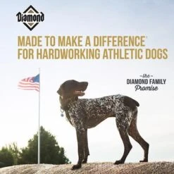 Diamond Performance Formula Adult Dry Dog Food -Snuggle Paws 49784 PT4. AC SS1800 V1641254506