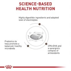 Royal Canin Veterinary Diet Adult Gastrointestinal Low Fat Dry Dog Food -Snuggle Paws 49952 PT2. AC SS1800 V1691702144