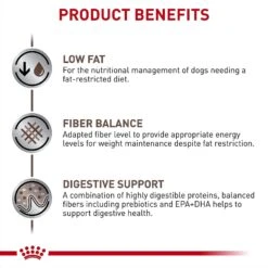 Royal Canin Veterinary Diet Adult Gastrointestinal Low Fat Dry Dog Food -Snuggle Paws 49952 PT3. AC SS1800 V1691702144