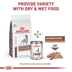 Royal Canin Veterinary Diet Adult Gastrointestinal Low Fat Dry Dog Food -Snuggle Paws 49952 PT5. AC SS1800 V1691702116