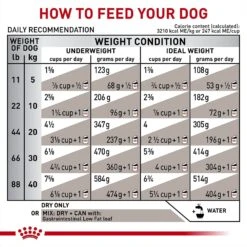 Royal Canin Veterinary Diet Adult Gastrointestinal Low Fat Dry Dog Food -Snuggle Paws 49952 PT7. AC SS1800 V1691702116
