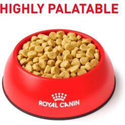 Royal Canin Veterinary Diet Adult Selected Protein PD Dry Dog Food -Snuggle Paws 49957 PT2. AC SS1800 V1684417060