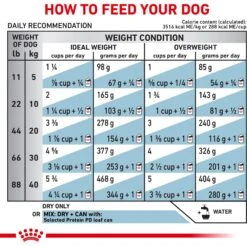 Royal Canin Veterinary Diet Adult Selected Protein PD Dry Dog Food -Snuggle Paws 49957 PT8. AC SS1800 V1684410005