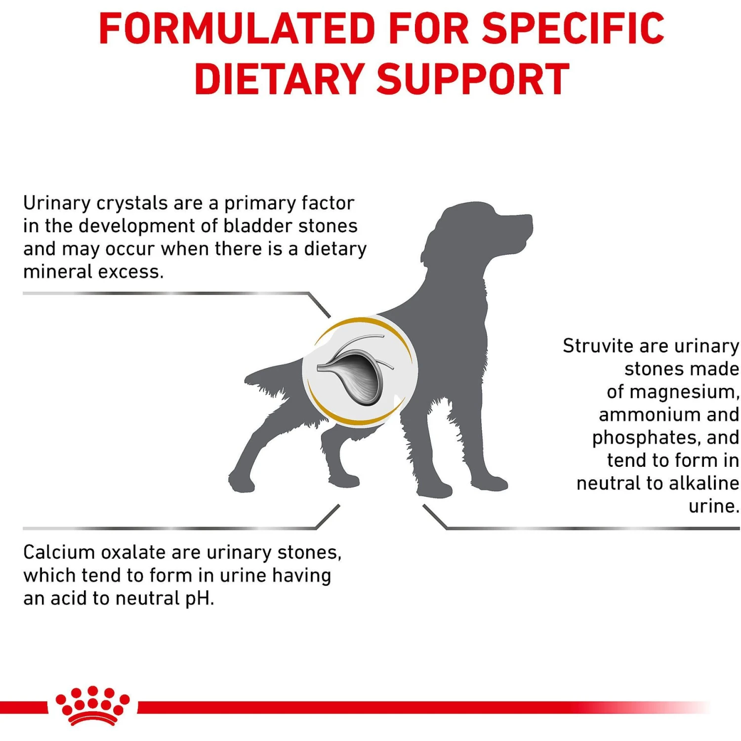 Royal Canin Veterinary Diet Adult Urinary SO Dry Dog Food 8 Royal Canin Veterinary Diet Adult Urinary SO Dry Dog Food - Image 6