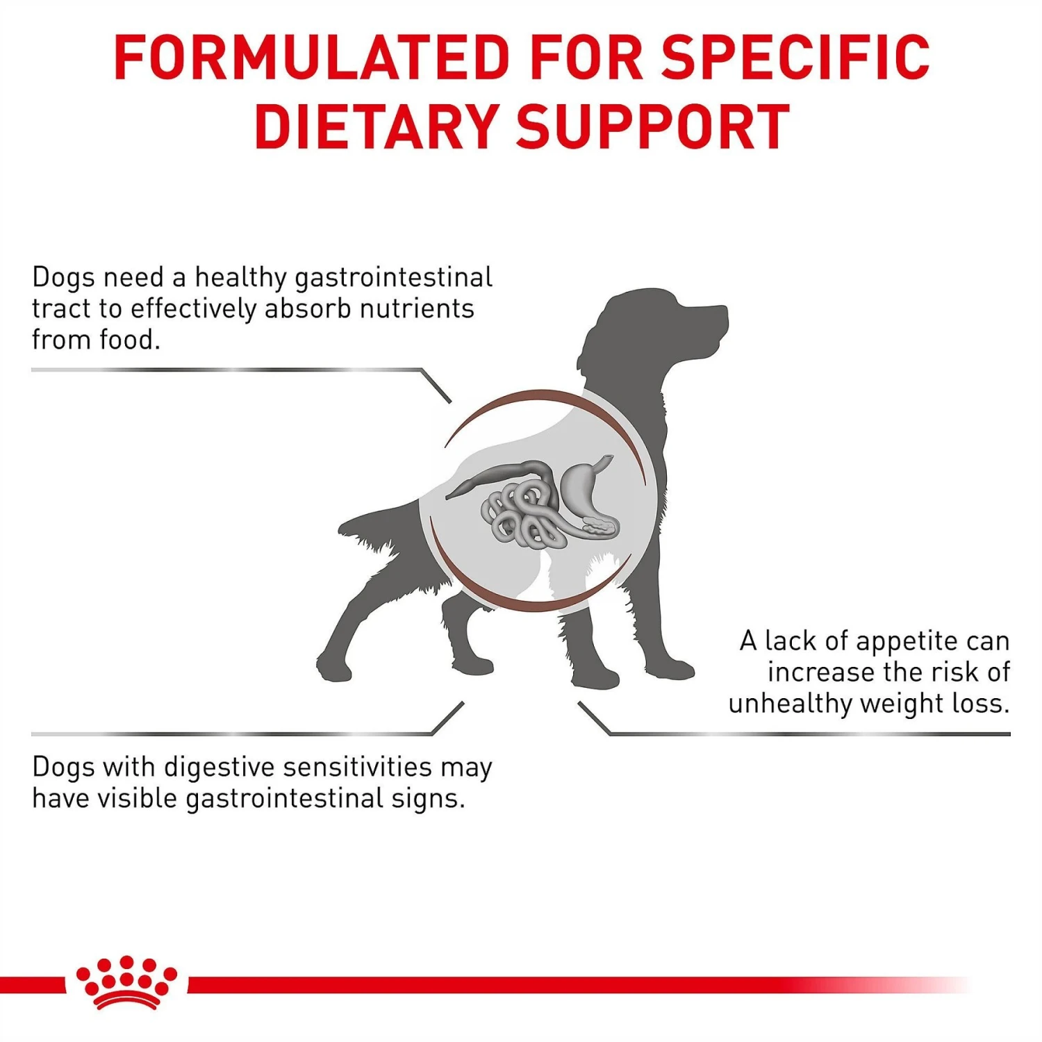 Royal Canin Veterinary Diet Adult Gastrointestinal Dry Dog Food 7 Royal Canin Veterinary Diet Adult Gastrointestinal Dry Dog Food - Image 5