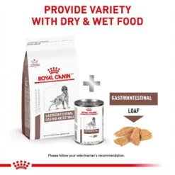 Royal Canin Veterinary Diet Adult Gastrointestinal Dry Dog Food 16 Royal Canin Veterinary Diet Adult Gastrointestinal Dry Dog Food -Snuggle Paws 50192 PT5. AC SS1800 V1691702115