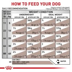 Royal Canin Veterinary Diet Adult Gastrointestinal Loaf Canned Dog Food -Snuggle Paws 50194 PT5. AC SS1800 V1691702115