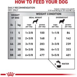 Royal Canin Veterinary Diet Adult Selected Protein PW Moderate Calorie Dry Dog Food -Snuggle Paws 50212 PT7. AC SS1800 V1684411891