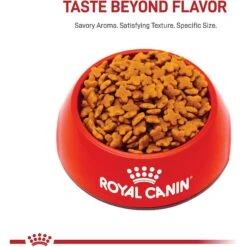Royal Canin Size Health Nutrition Small Adult Dry Dog Food 12 Royal Canin Size Health Nutrition Small Adult Dry Dog Food -Snuggle Paws 50246 PT1. AC SS1800 V1592546456