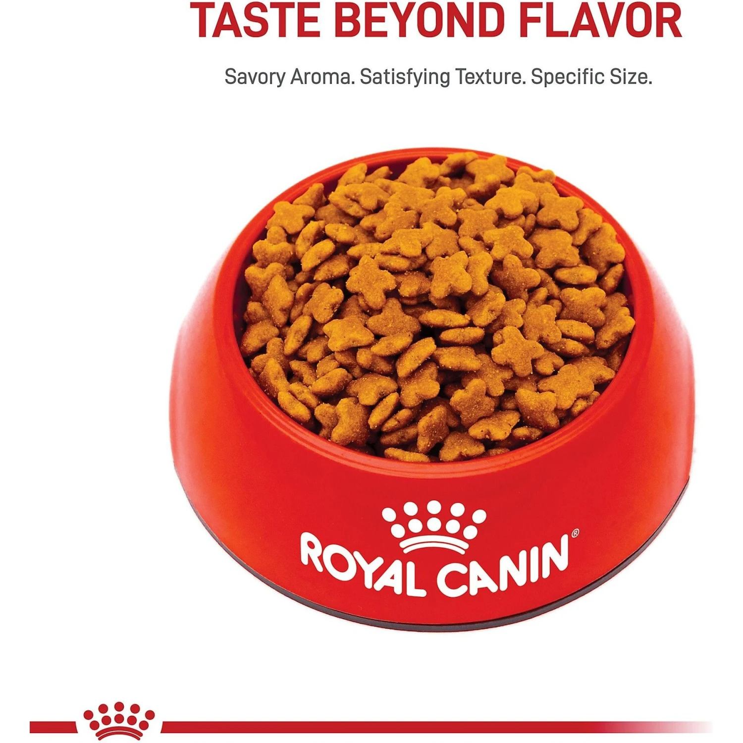 Royal Canin Size Health Nutrition Small Adult Dry Dog Food 4 Royal Canin Size Health Nutrition Small Adult Dry Dog Food - Image 2