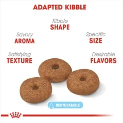 Royal Canin Size Health Nutrition Small Aging 12+ Dry Dog Food -Snuggle Paws 50257 PT2. AC SS1800 V1697212427