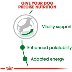 Royal Canin Size Health Nutrition Small Adult 8+ Dry Dog Food 15 Royal Canin Size Health Nutrition Small Adult 8+ Dry Dog Food -Snuggle Paws 50260 PT4. AC SS1800 V1697213094