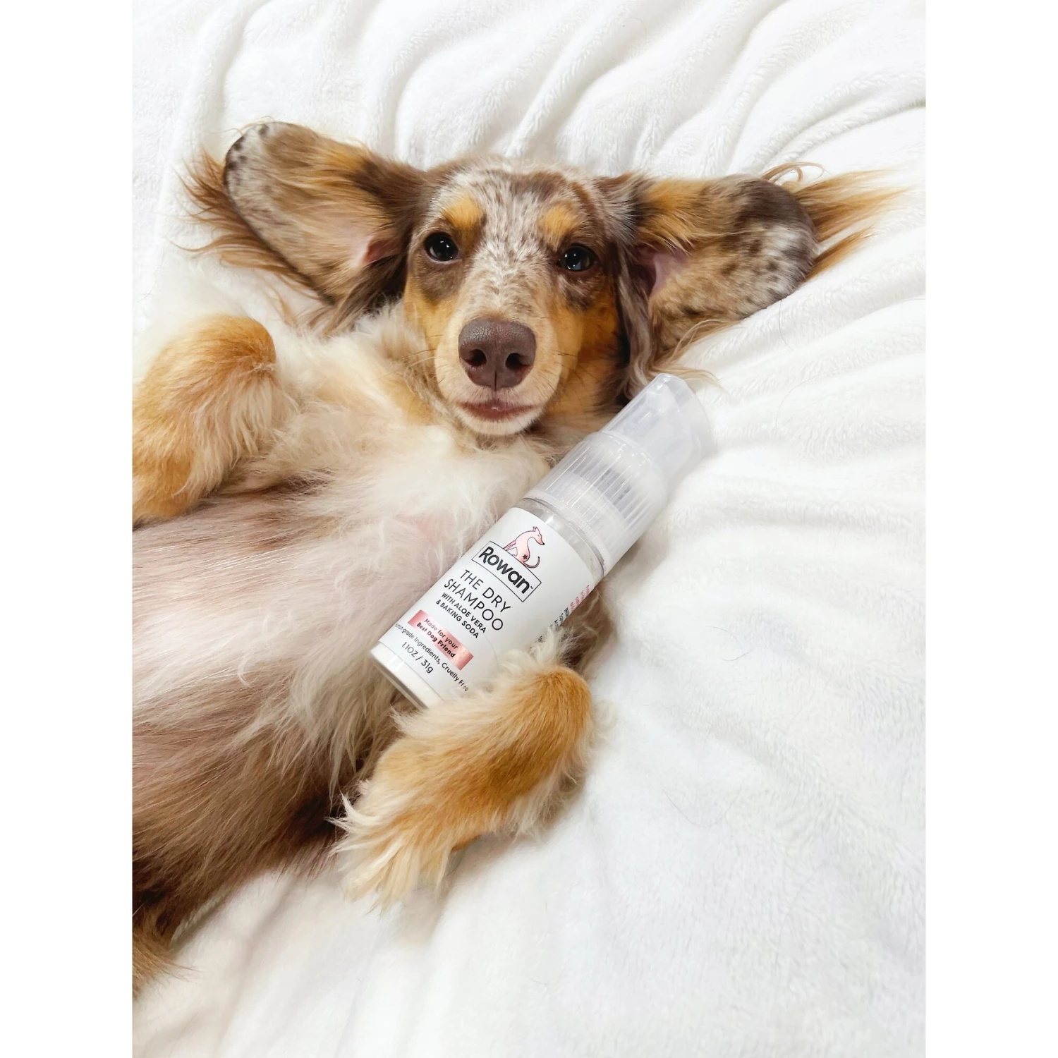 Rowan Dry Dog Shampoo, Coconut Scent, 1.1-oz Bottle 4 Rowan Dry Dog Shampoo, Coconut Scent, 1.1-oz Bottle - Image 2