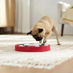 Frisco Bento Interactive Puzzle Dog Toy, Moderate -Snuggle Paws 506226 PT5. AC SS1800 V1674664929