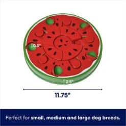 Frisco Watermelon Interactive Puzzle Dog Toy, Advanced 10 Frisco Watermelon Interactive Puzzle Dog Toy, Advanced -Snuggle Paws 506322 PT1. AC SS1800 V1675200066