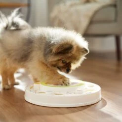 Frisco Tiered Cake Interactive Puzzle Dog Toy, Easy -Snuggle Paws 506346 PT5. AC SS1800 V1674666566