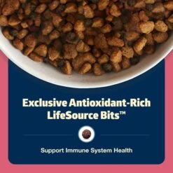 Blue Buffalo Freedom Small Breed Adult Chicken Recipe Grain-Free Dry Dog Food -Snuggle Paws 50782 PT6. AC SS1800 V1649117187