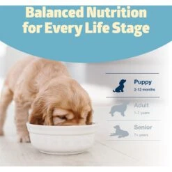 Blue Buffalo Freedom Puppy Chicken Recipe Grain-Free Dry Dog Food -Snuggle Paws 50829 PT7. AC SS1800 V1649117185
