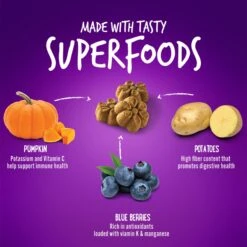 Fruitables Pumpkin & Blueberry Flavor Dog Treats -Snuggle Paws 50845 PT4. AC SS1800 V1594328155