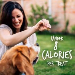 Fruitables Pumpkin & Blueberry Flavor Dog Treats -Snuggle Paws 50845 PT5. AC SS1800 V1594328452