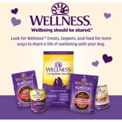 Old Mother Hubbard By Wellness Training Bitz Assorted Mix Natural Oven-Baked Biscuits Dog Treats 12 Old Mother Hubbard By Wellness Training Bitz Assorted Mix Natural Oven-Baked Biscuits Dog Treats -Snuggle Paws 51166 PT4. AC SS1800 V1657657790