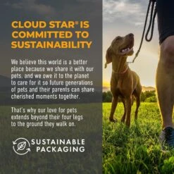 Cloud Star Crunchy Tricky Trainers Cheddar Flavor Dog Treats -Snuggle Paws 51298 PT5. AC SS1800 V1624918670