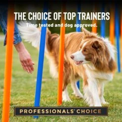 Cloud Star Crunchy Tricky Trainers Liver Flavor Dog Treats -Snuggle Paws 51299 PT4. AC SS1800 V1624926760