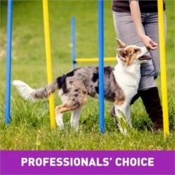 Cloud Star Crunchy Tricky Trainers Liver Flavor Dog Treats -Snuggle Paws 51299 PT6. AC SS1800 V1624918103