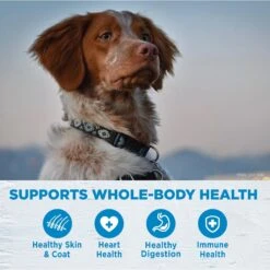 Wellness Simple Limited Ingredient Diet Lamb & Oatmeal Formula Dry Dog Food 14 Wellness Simple Limited Ingredient Diet Lamb & Oatmeal Formula Dry Dog Food -Snuggle Paws 51706 PT3. AC SS1800 V1611092335