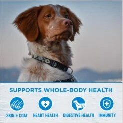 Wellness Simple Limited Ingredient Diet Lamb & Oatmeal Formula Canned Dog Food -Snuggle Paws 51715 PT3. AC SS1800 V1676299462