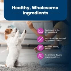 Blue Buffalo Life Protection Formula Small Breed Senior Chicken & Brown Rice Recipe Dry Dog Food -Snuggle Paws 51901 PT5. AC SS1800 V1701982102