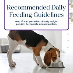 Blue Buffalo Basics Skin & Stomach Care Grain-Free Turkey & Potato Recipe Canned Dog Food -Snuggle Paws 51929 PT8. AC SS1800 V1646271107