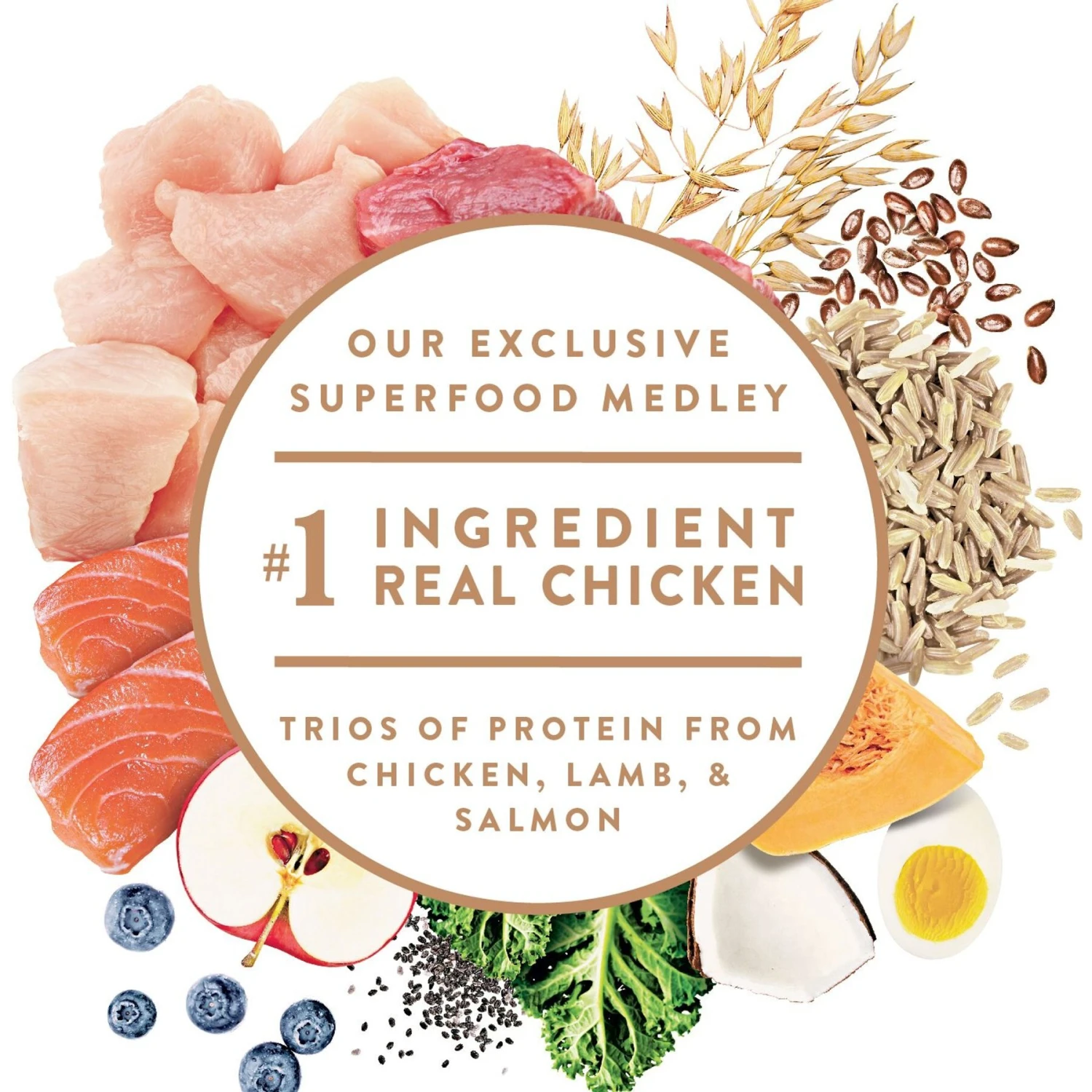 Nutro Ultra Toy Breed Adult Dry Dog Food 5 Nutro Ultra Toy Breed Adult Dry Dog Food - Image 3