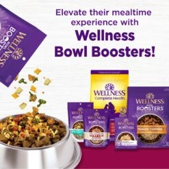 Wellness Small Breed Complete Health Puppy Turkey, Oatmeal & Salmon Meal Recipe Dry Dog Food -Snuggle Paws 52087 PT5. AC SS1800 V1594908357