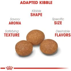 Royal Canin Size Health Nutrition X-Small Adult 8+ Dry Dog Food 14 Royal Canin Size Health Nutrition X-Small Adult 8+ Dry Dog Food -Snuggle Paws 52396 PT3. AC SS1800 V1697213407