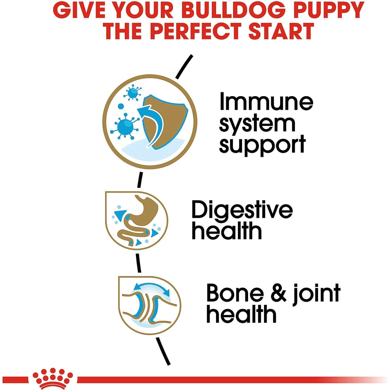 Royal Canin Breed Health Nutrition Bulldog Puppy Dry Dog Food 7 Royal Canin Breed Health Nutrition Bulldog Puppy Dry Dog Food - Image 5
