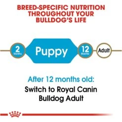 Royal Canin Breed Health Nutrition Bulldog Puppy Dry Dog Food 17 Royal Canin Breed Health Nutrition Bulldog Puppy Dry Dog Food -Snuggle Paws 52515 PT6. AC SS1800 V1697212732