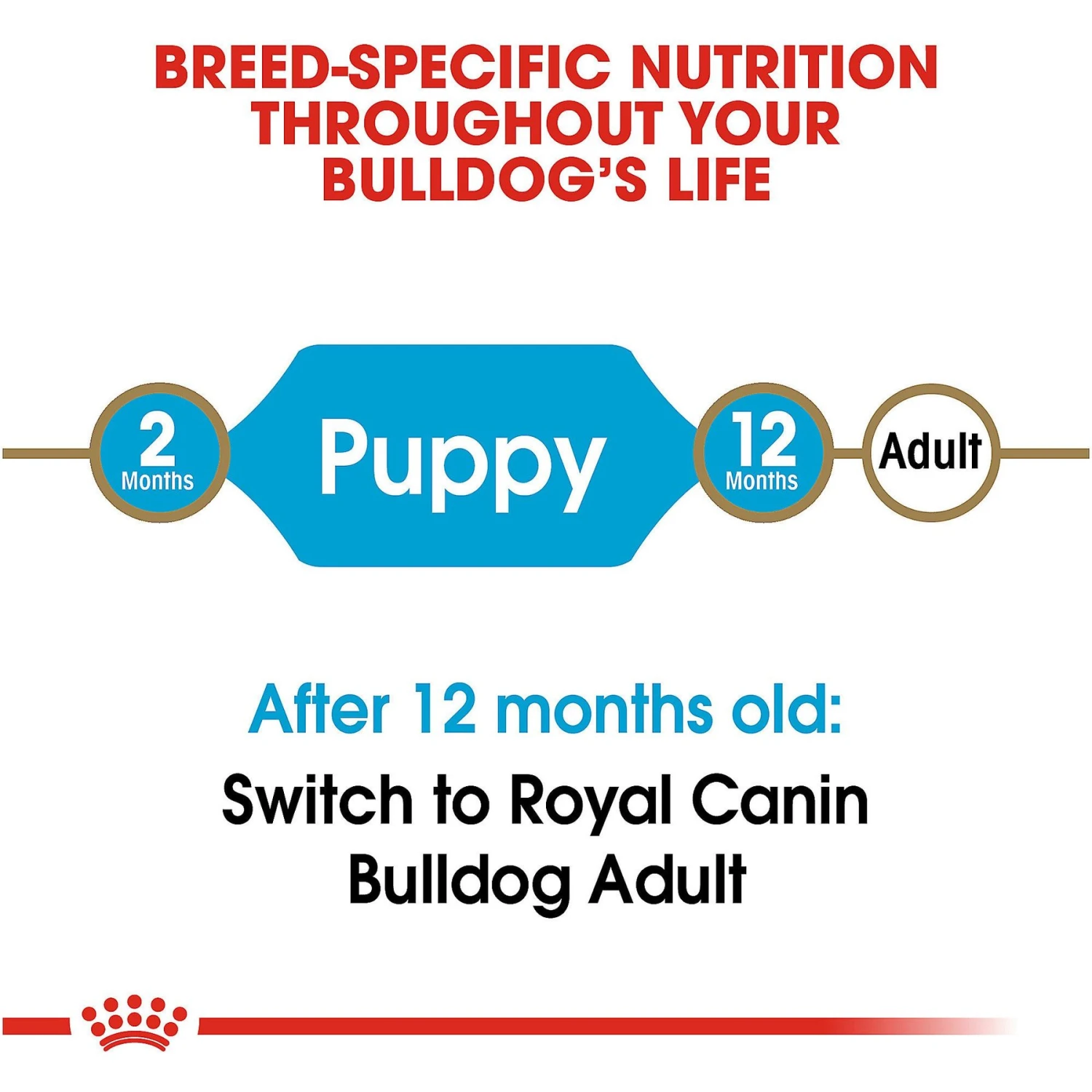 Royal Canin Breed Health Nutrition Bulldog Puppy Dry Dog Food 9 Royal Canin Breed Health Nutrition Bulldog Puppy Dry Dog Food - Image 7