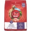 Purina ONE SmartBlend Vibrant Maturity 7+ Formula Adult Premium Dry Dog Food 2 Purina ONE SmartBlend Vibrant Maturity 7+ Formula Adult Premium Dry Dog Food -Snuggle Paws 52544 MAIN. AC SS1800 V1676050815