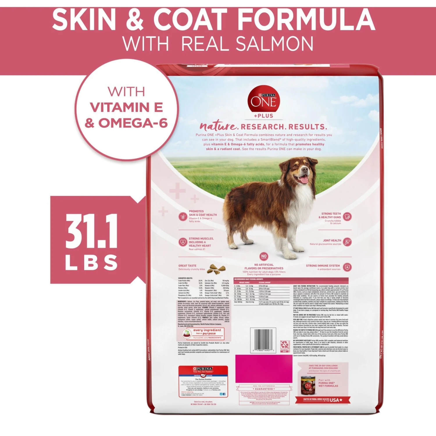 Purina ONE +Plus Adult Skin & Coat Formula Dry Dog Food 4 Purina ONE +Plus Adult Skin & Coat Formula Dry Dog Food - Image 2
