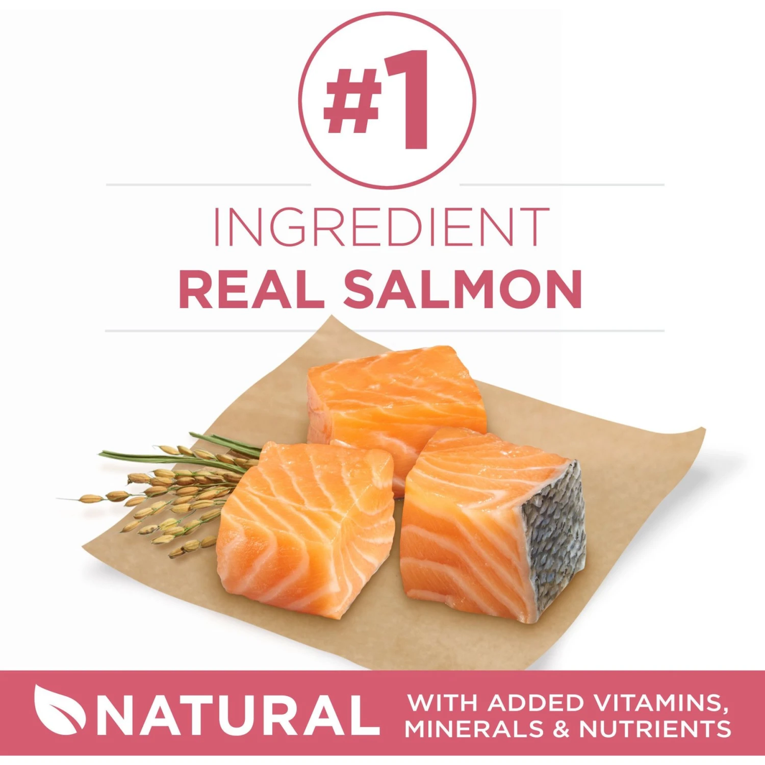 Purina ONE +Plus Adult Skin & Coat Formula Dry Dog Food 5 Purina ONE +Plus Adult Skin & Coat Formula Dry Dog Food - Image 3