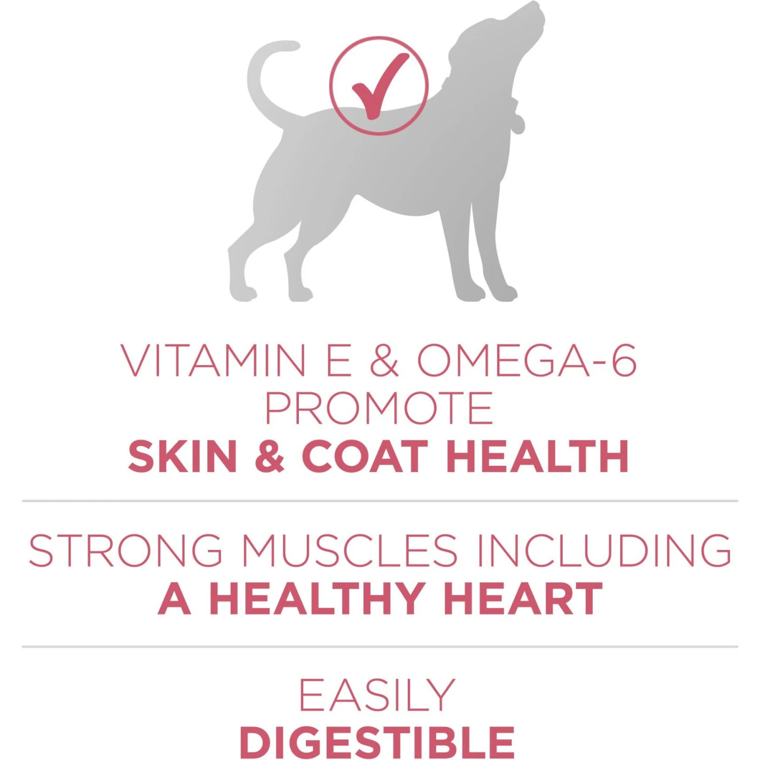 Purina ONE +Plus Adult Skin & Coat Formula Dry Dog Food 6 Purina ONE +Plus Adult Skin & Coat Formula Dry Dog Food - Image 4