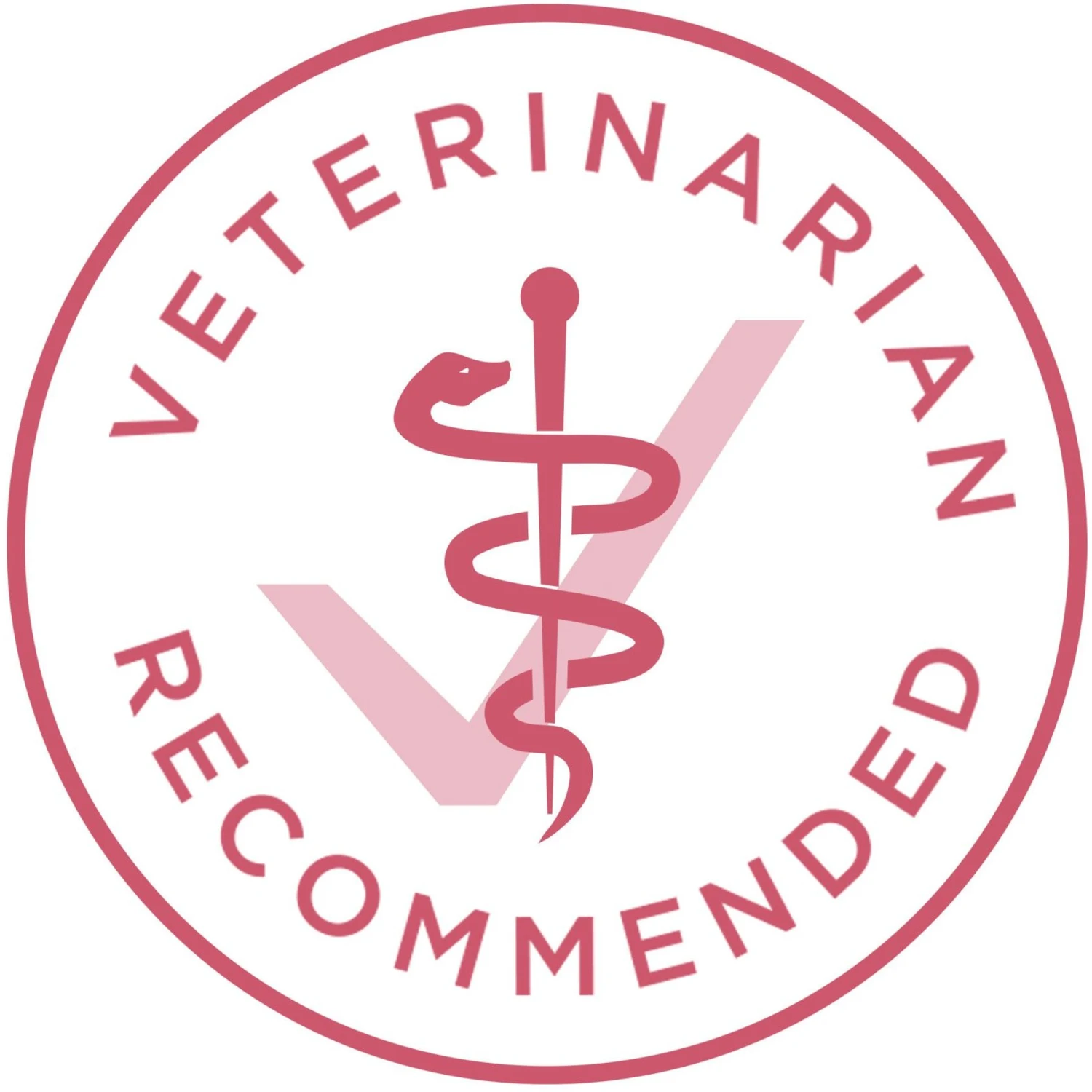 Purina ONE +Plus Adult Skin & Coat Formula Dry Dog Food 8 Purina ONE +Plus Adult Skin & Coat Formula Dry Dog Food - Image 6