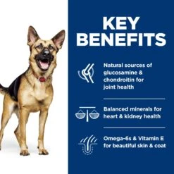 Hill's Science Diet Adult 6+ Large Breed Chicken Meal, Barley & Rice Dry Dog Food 16 Hill's Science Diet Adult 6+ Large Breed Chicken Meal, Barley & Rice Dry Dog Food -Snuggle Paws 52715 PT5. AC SS1800 V1605841915