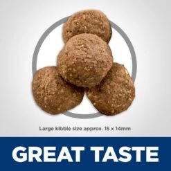 Hill's Science Diet Adult 6+ Large Breed Chicken Meal, Barley & Rice Dry Dog Food 17 Hill's Science Diet Adult 6+ Large Breed Chicken Meal, Barley & Rice Dry Dog Food -Snuggle Paws 52715 PT6. AC SS1800 V1605841307