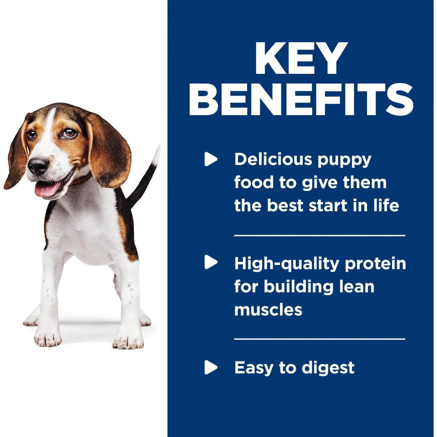 Hill's Science Diet Puppy Savory Stew With Chicken & Vegetables Canned Dog Food 9 Hill's Science Diet Puppy Savory Stew With Chicken & Vegetables Canned Dog Food - Image 7
